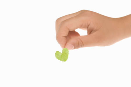 Children's handsの写真素材