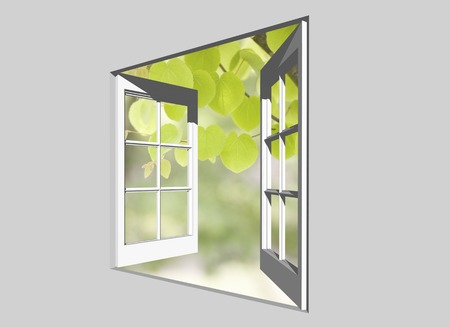 Leaves of fresh green from the windowの写真素材