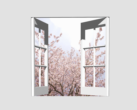 Sakura from the window and the skyの写真素材