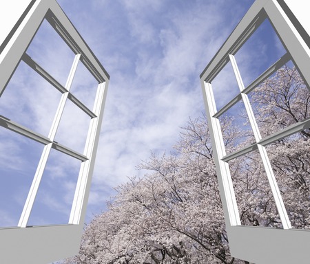 Sakura from the window of the Forest Park Negishiの写真素材