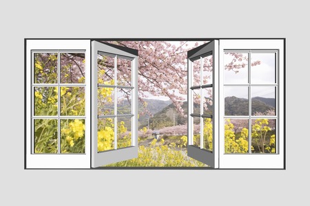 From the window Sakura Kawazuの写真素材