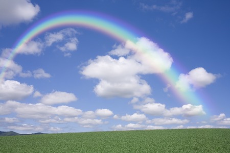 Grassland of the rainbowの写真素材