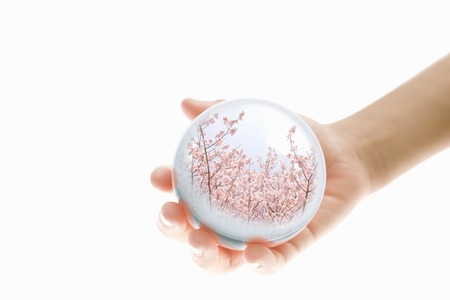 World in handsの写真素材