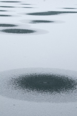 Korimonの写真素材