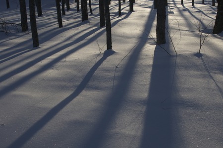 The shadow of the snow surfaceの写真素材