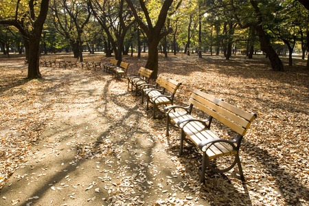 Park benchの写真素材