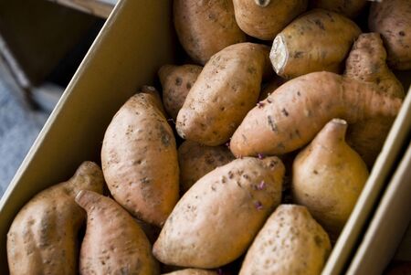 Sweet potatoの写真素材