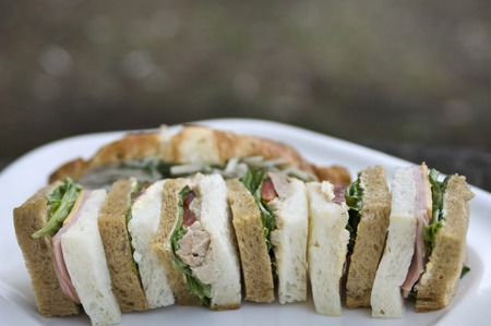 Sandwichの写真素材