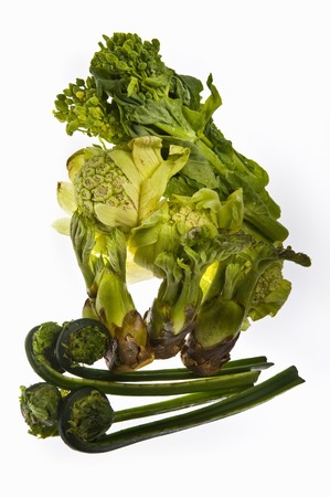 Spring Greensの写真素材