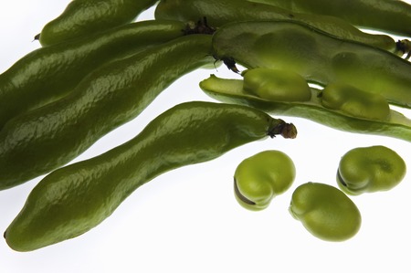 Fava beanの写真素材