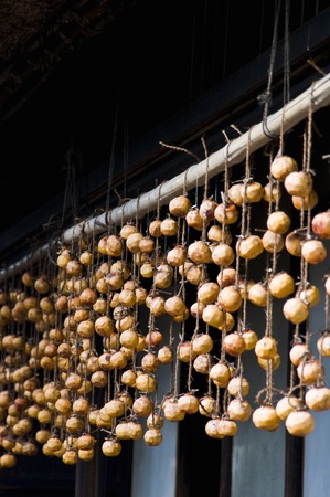 Dried persimmonの写真素材