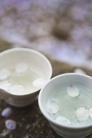 Cherry Blossom Wine