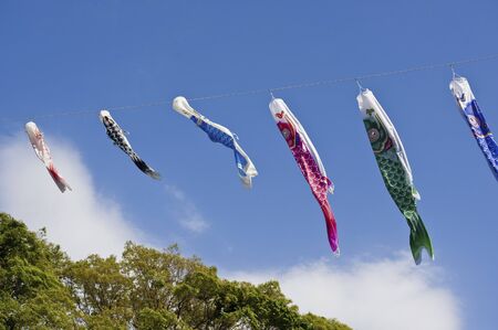 Carp streamerの写真素材