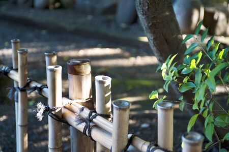 Bamboo fenceの写真素材
