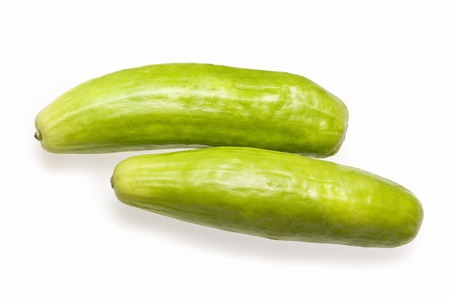 Melonの写真素材