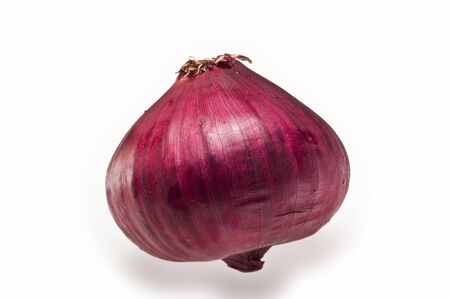 Purple Onionの写真素材