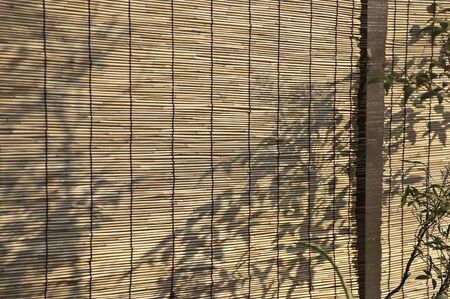 Bamboo blindsの写真素材