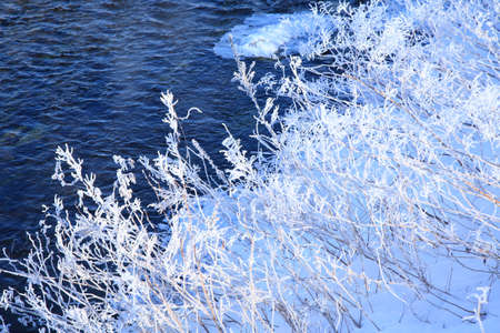 Waterside of rimeの写真素材