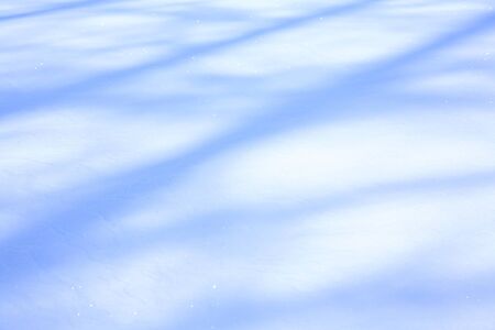 Shadow of a snowy field treeの写真素材