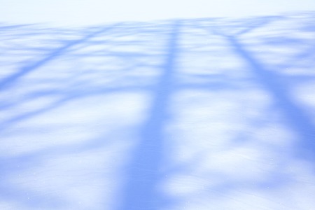 Shadow of a snowy field treeの写真素材