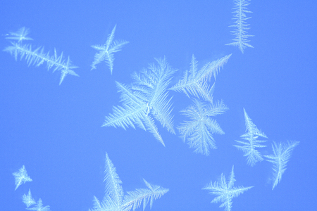 Crystal glass with iceの写真素材