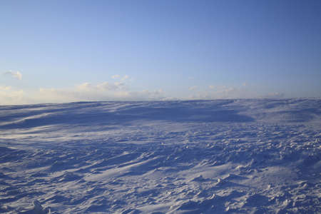 Snowy field and a blue skyの写真素材