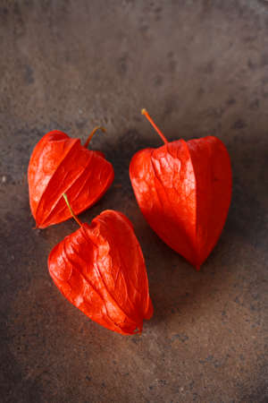 Nightshadeの写真素材