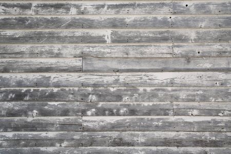 Plate wallの写真素材