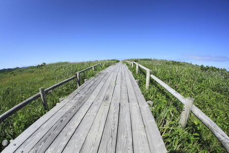 Walkway