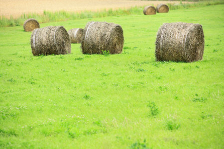 Hay rollの写真素材