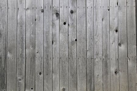 Plate wallの写真素材