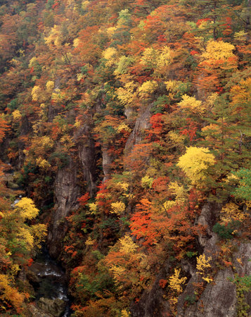 Naruko Gorge in autumnの写真素材