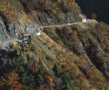 Fall of Hakusan super forest road