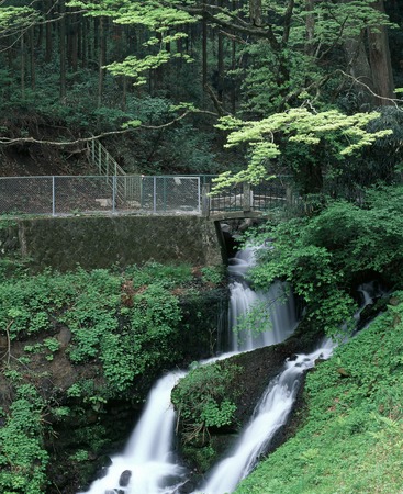 Hakojima spring waterの写真素材