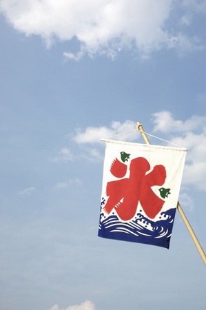 Iceman Flagの写真素材