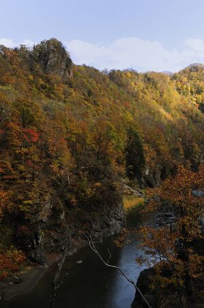 Autumn River