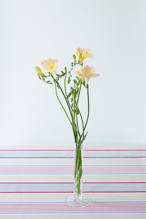 Flower designの写真素材