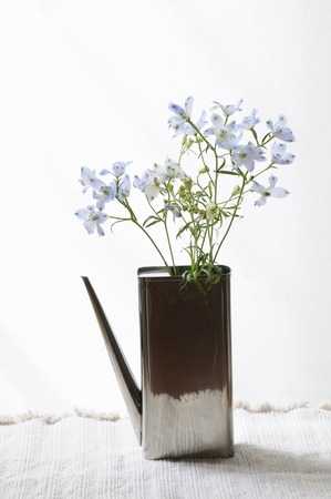 Flower designの写真素材