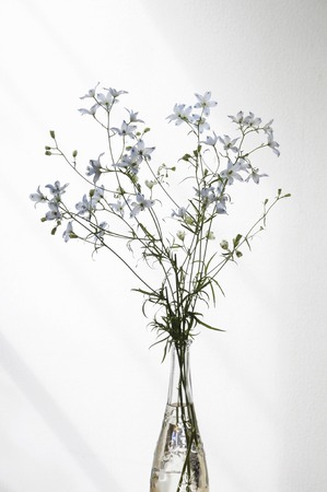 Flower designの写真素材