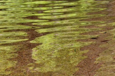 Surface of the water