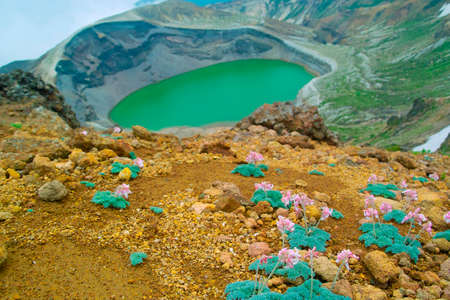 Okamaの写真素材