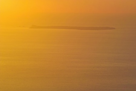 Flying birdの写真素材