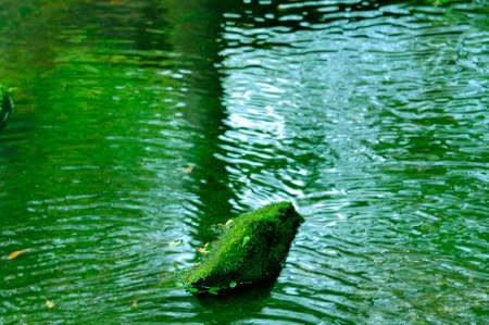 Spring waterの写真素材