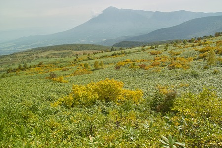 Hachimantaiの写真素材