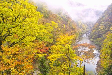 Dakigaeri Valleyの写真素材