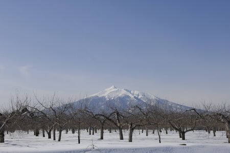 Mt. Iwakiの写真素材