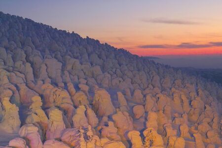 Rime iceの写真素材