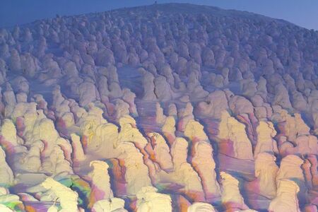 Rime iceの写真素材