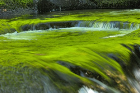 Mountain streamの写真素材