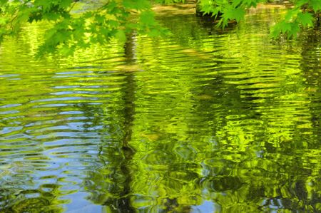 Surface of the waterの写真素材